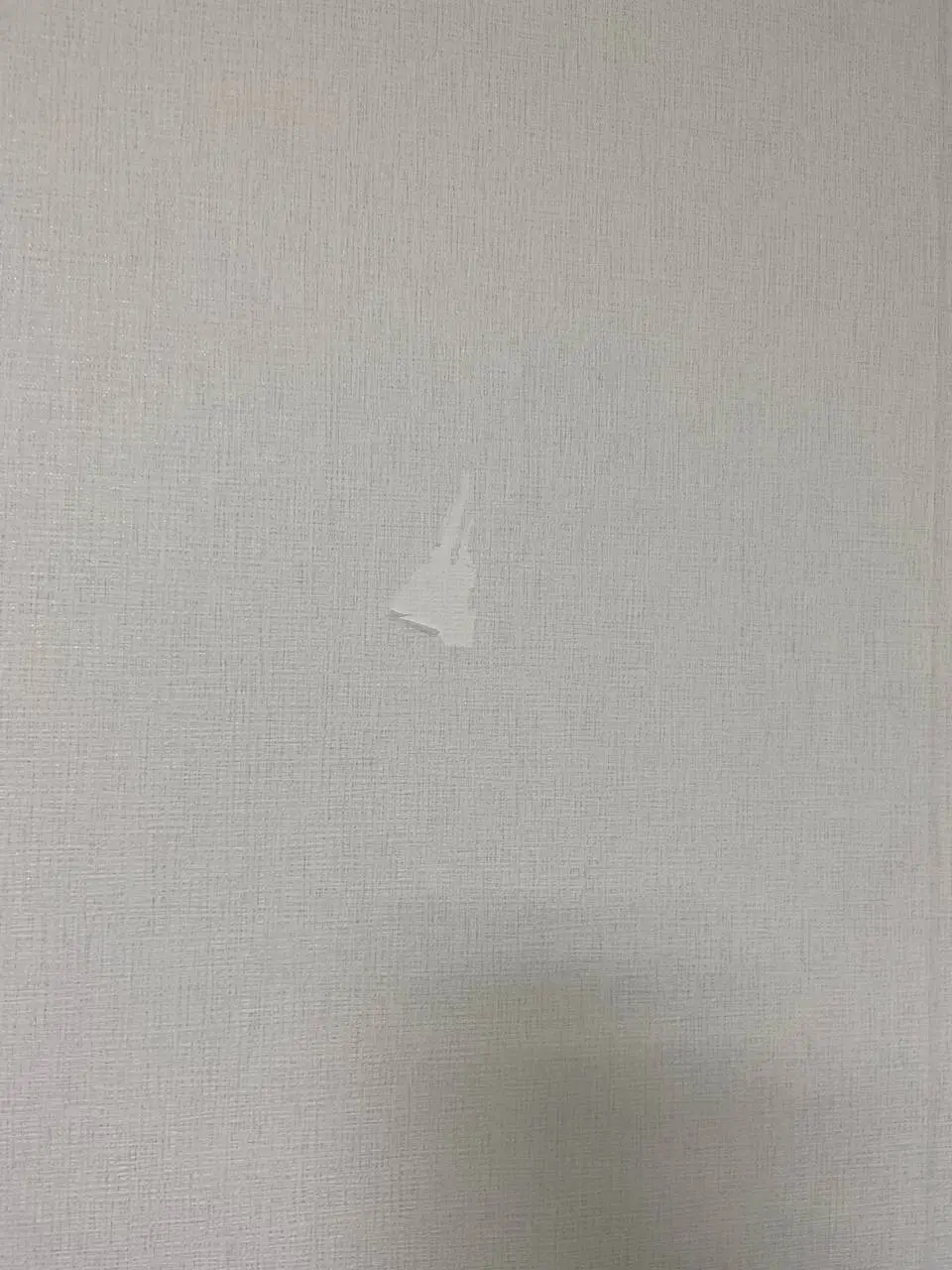 수원 장안구 이삿짐 이동 중 찢어진 벽지 복원 작업