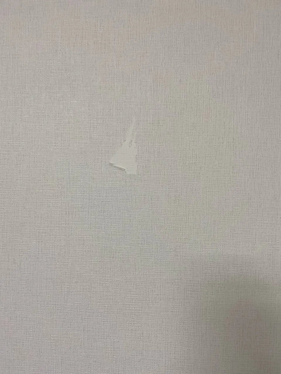 수원 장안구 이삿짐 이동 중 찢어진 벽지 복원 작업