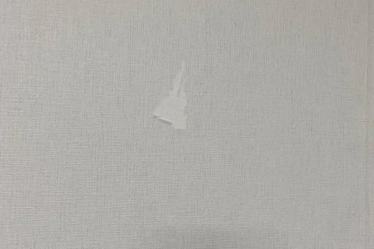 상담 사진에서 확인할 수 있는 벽지 손상 부위